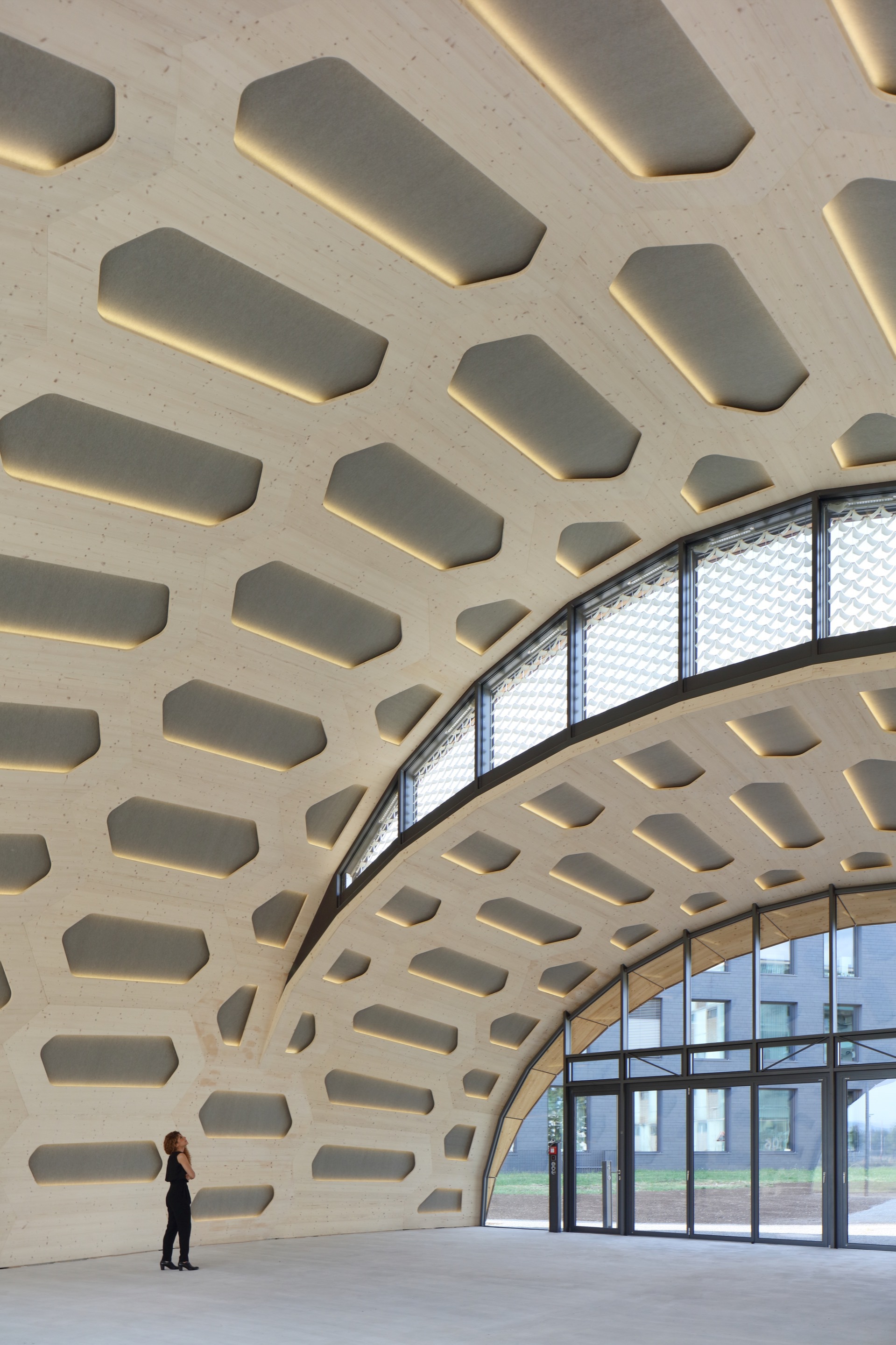 livMATS 仿生壳丨德国丨ICD,ITKE University of Stuttgart-26