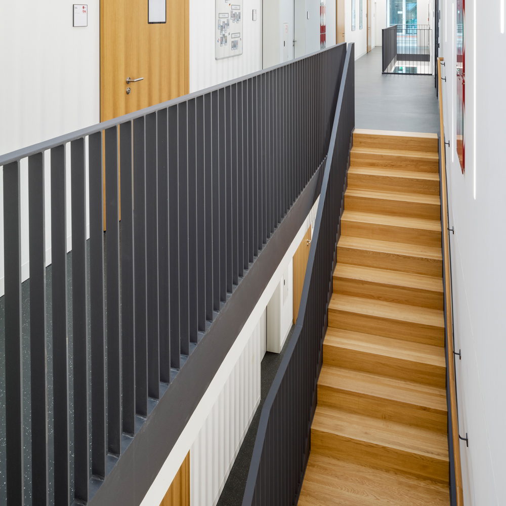 黑 façade 的集成感染疾病研究中心(CIID)-20