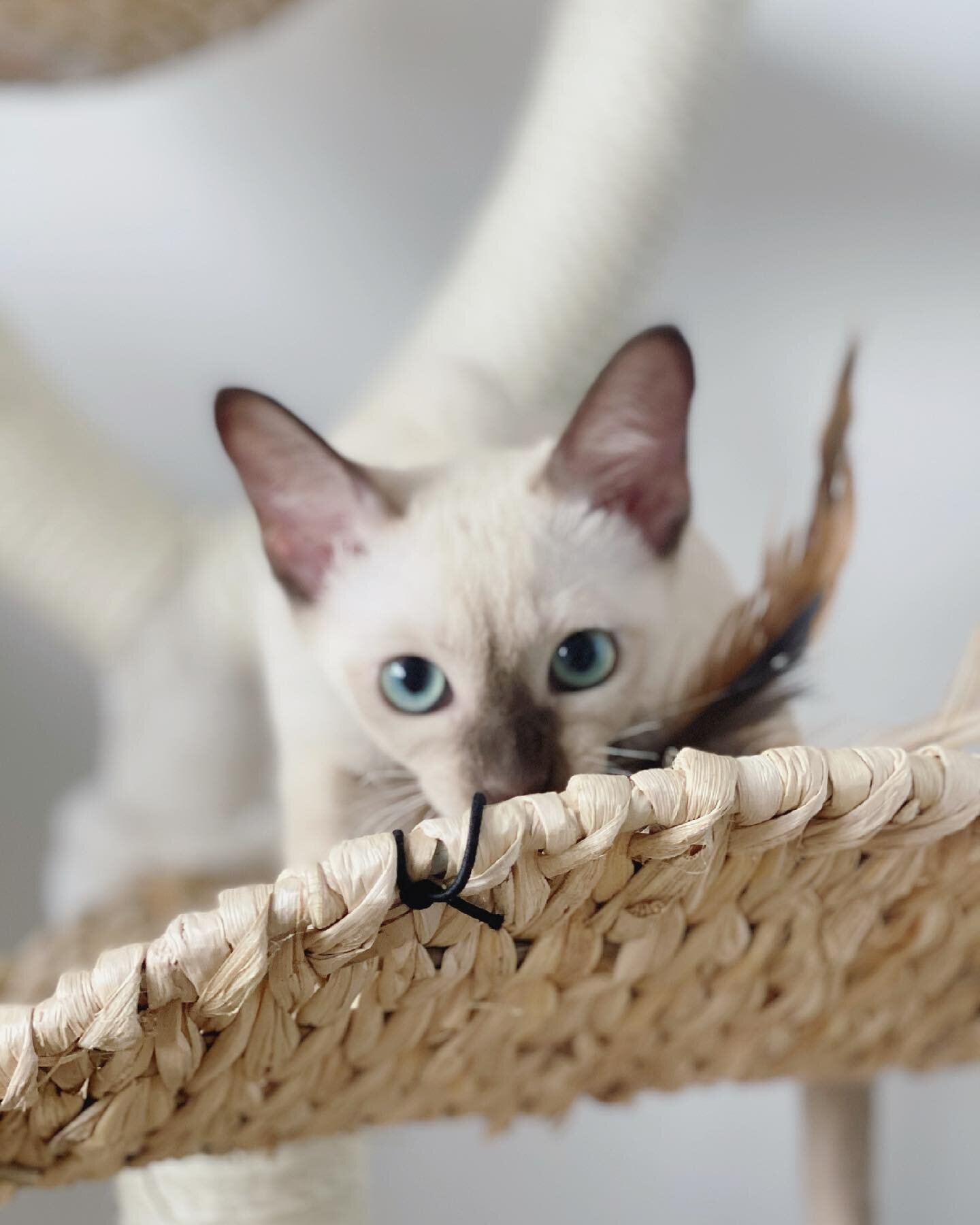 DIY软木装饰板-36