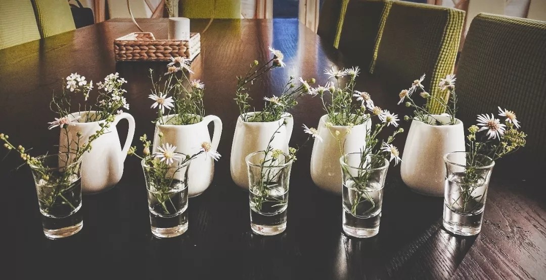 诺图格 | 蒙古原乡的心灵之旅-85