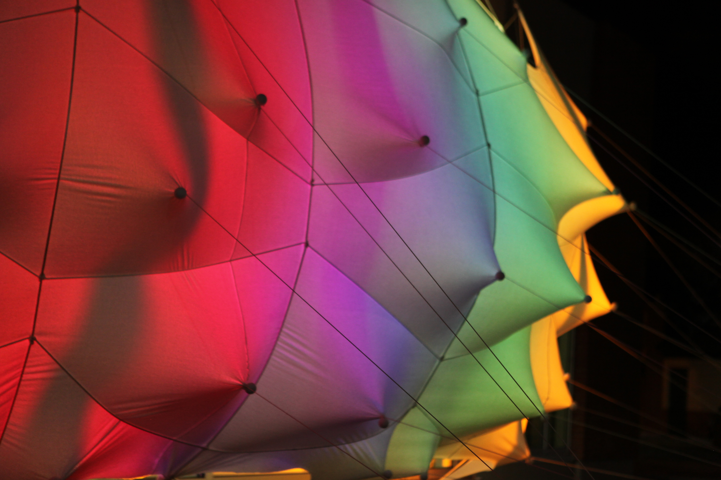 蜂群；一群（昆虫、人等）；一大群；蜂拥而至；成群移动；云集丨加拿大丨Lancelot Coar-17