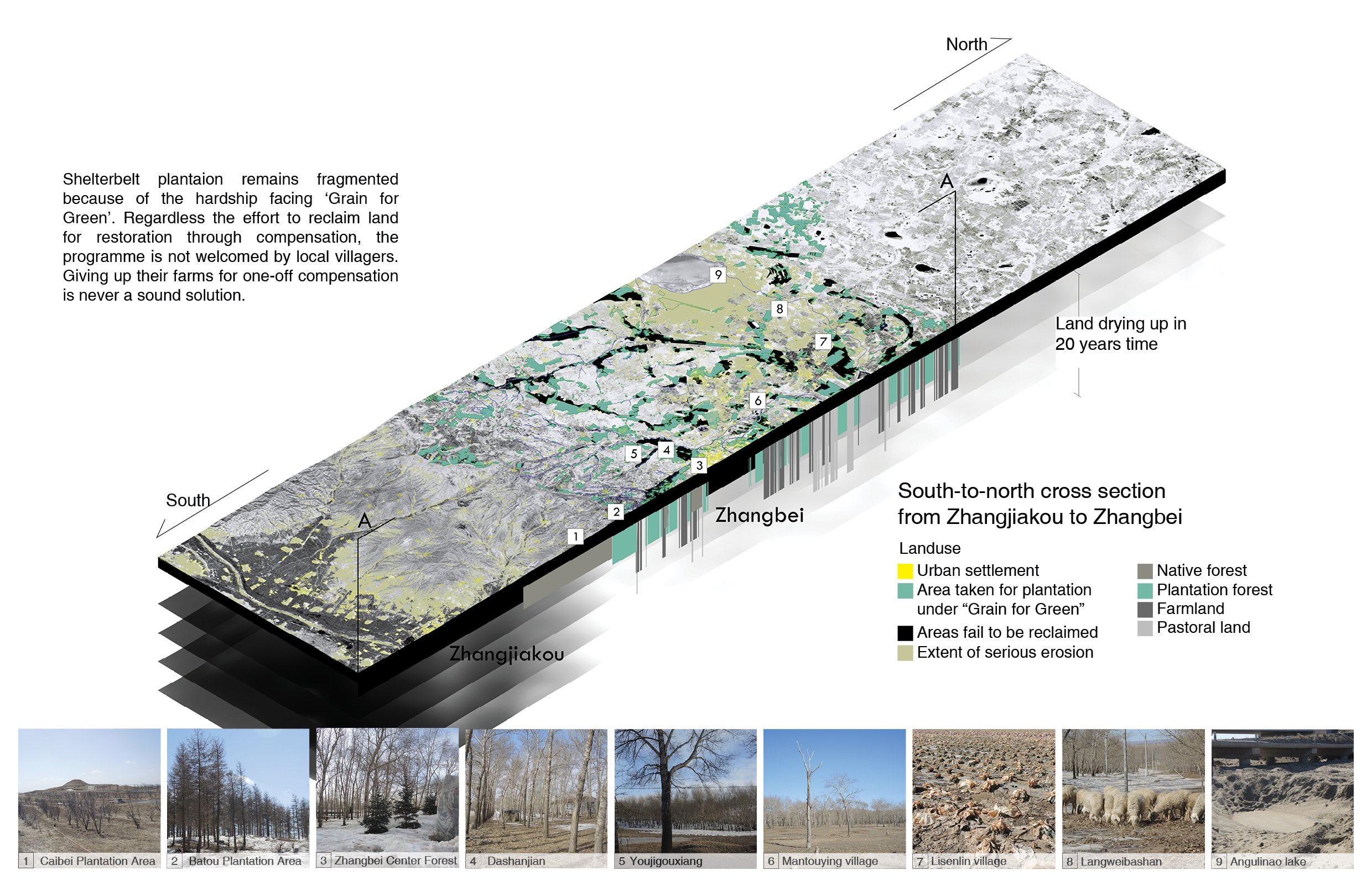 Debate on the 'Green': Shelterbelt Plantation-27
