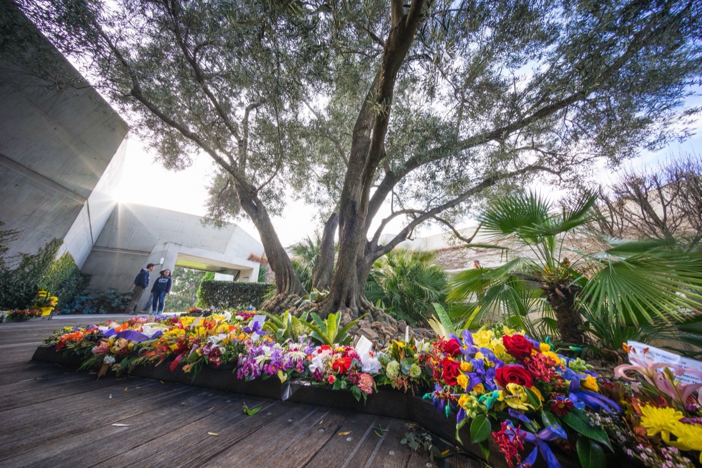 墨尔本圣地纪念馆丨澳大利亚墨尔本丨Rush Wright Associates-15