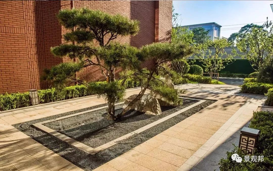 景观中的“松石配”-80