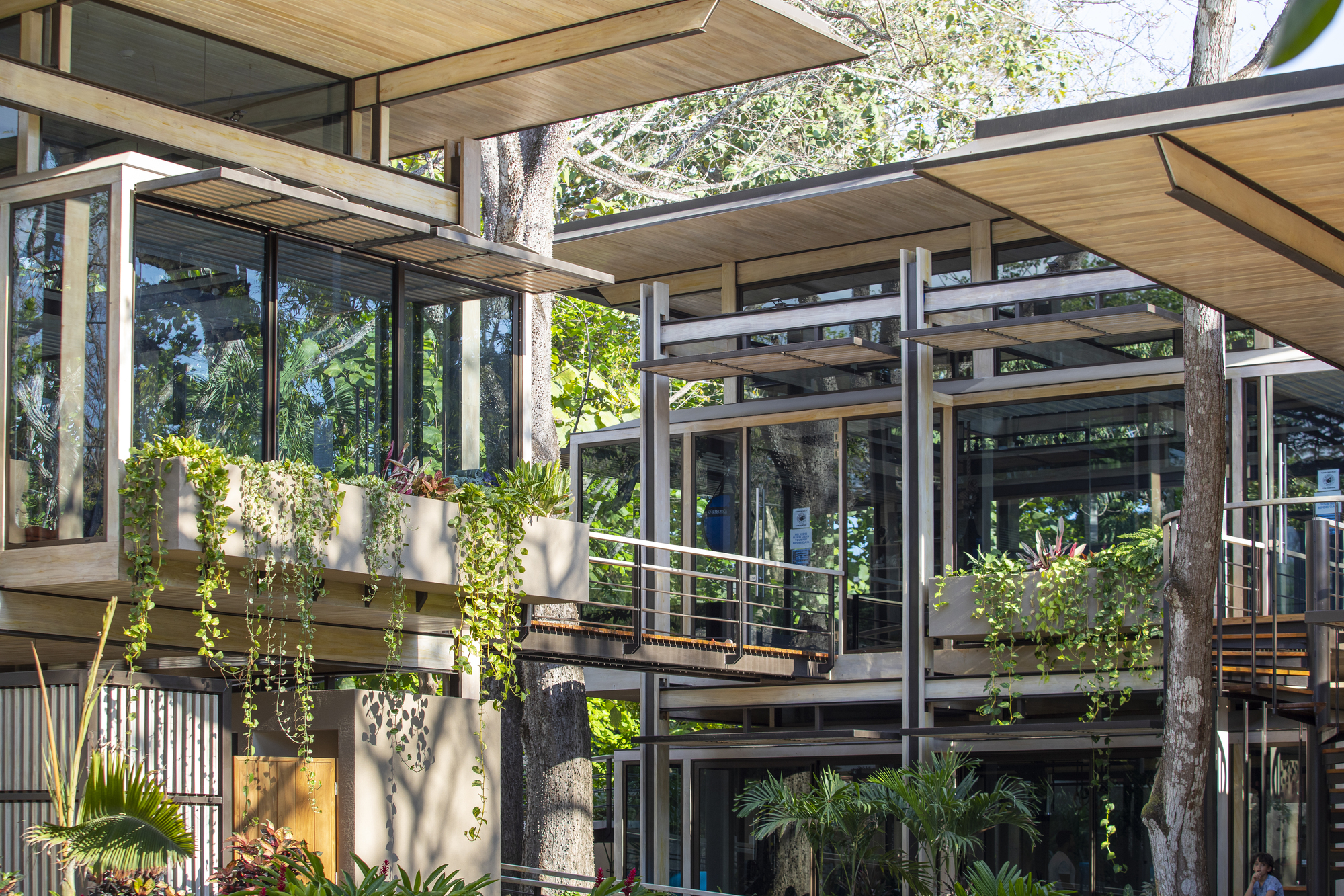 Costa Rica Athletic Center / Studio Saxe-18