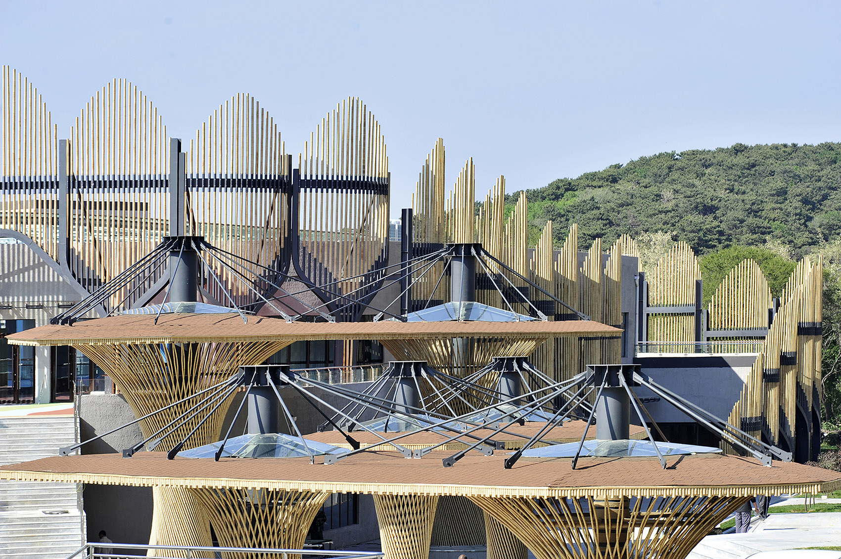 沈阳森林动物园熊猫馆 / 沈阳建筑大学HA+建筑方案创意工作室-10