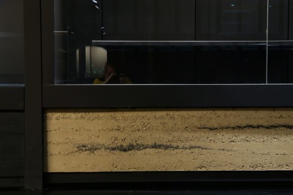 奥尔良生物多样性与环境博物馆生土展示台项目丨法国奥尔良-54