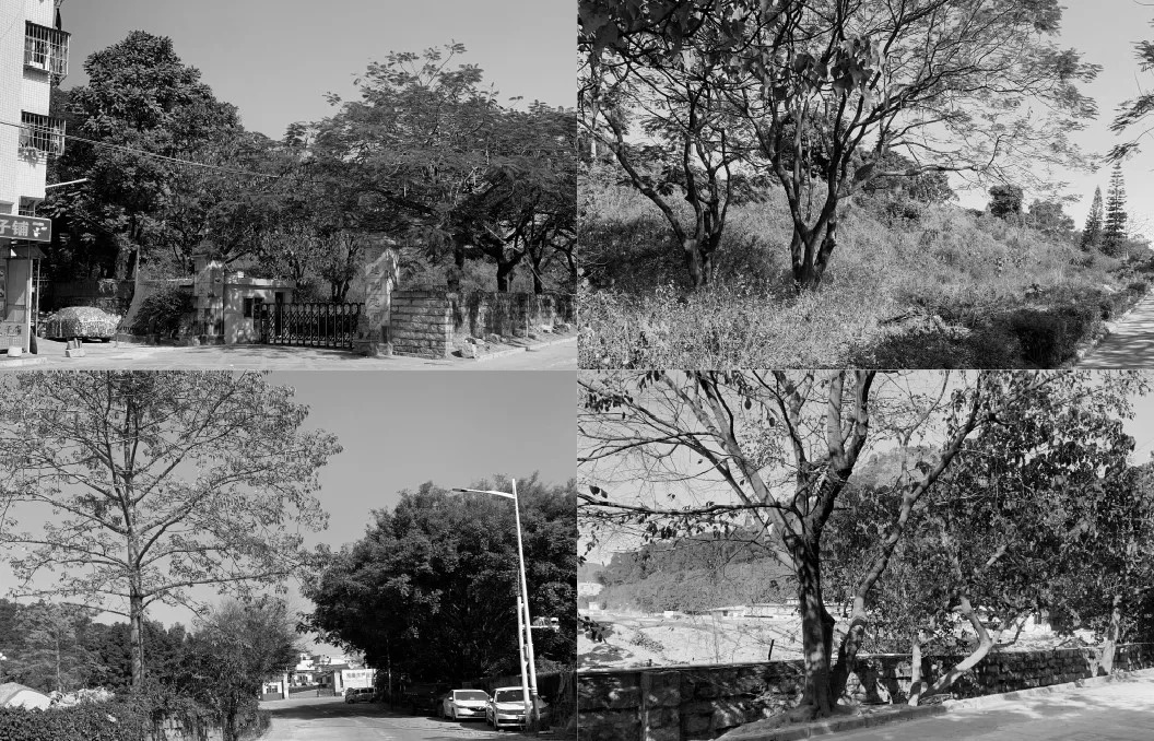   林德设计丨深圳佳兆业樾伴山 景观设计  丨中国深圳-28