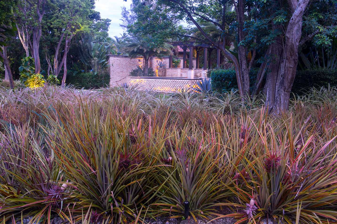 波多黎各多拉多海滩丽思卡尔顿精品度假酒店,Bensley 设计-30