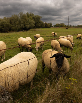 风景摄影作品集丨无相关信息