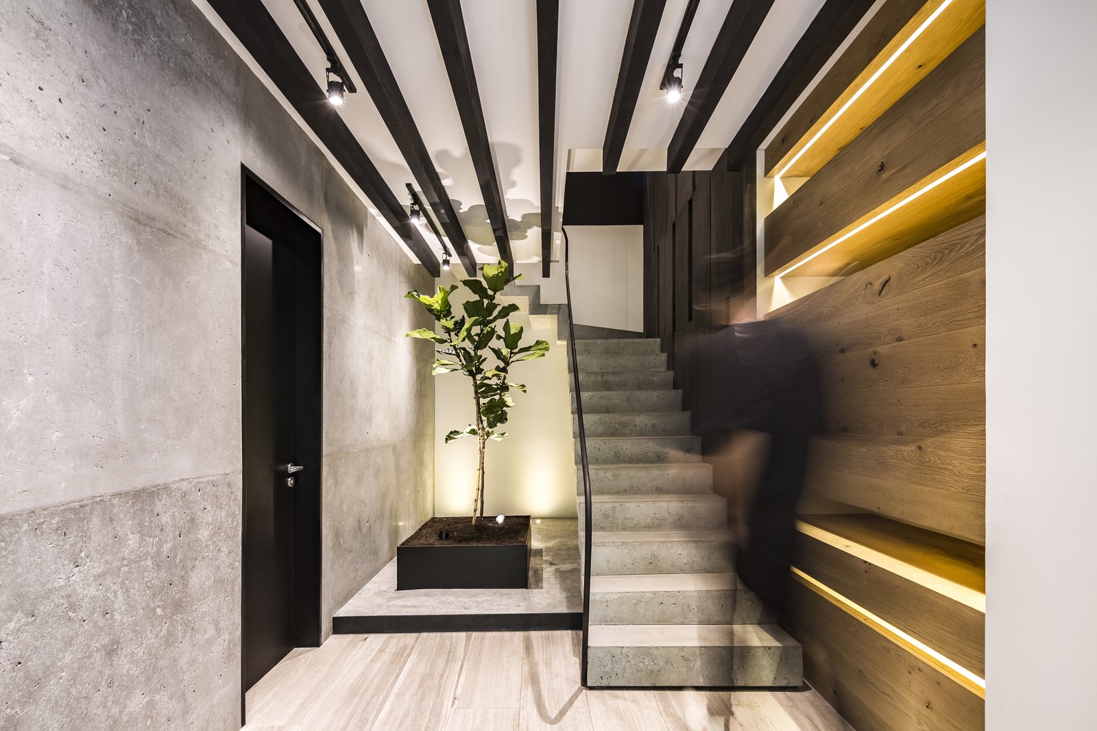 墨西哥·木色舒适住宅  Taller David Dana-1