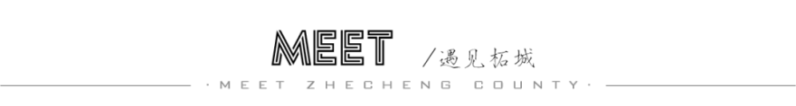 柘城·国安城丨中国商丘丨重庆九禾机构-3