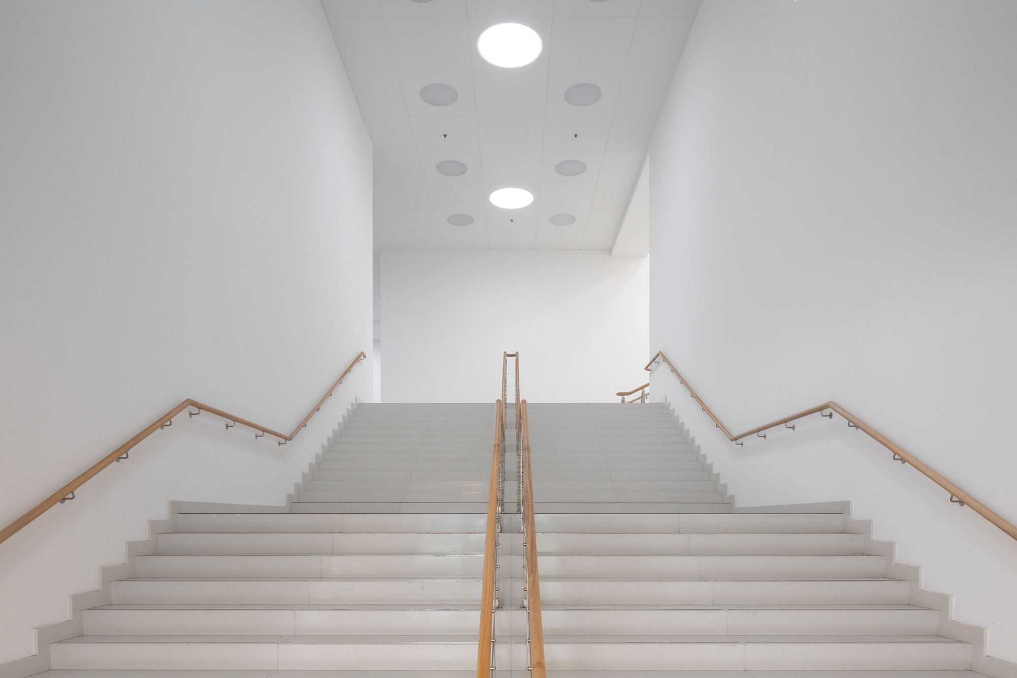 National Library of the Republic of Tatarstan / XOPA-38