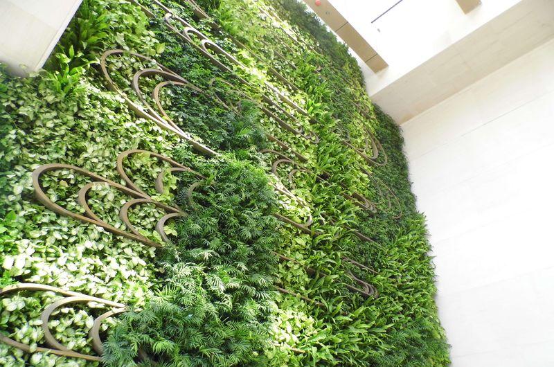 天水 财富阳光酒店-植物墙-1