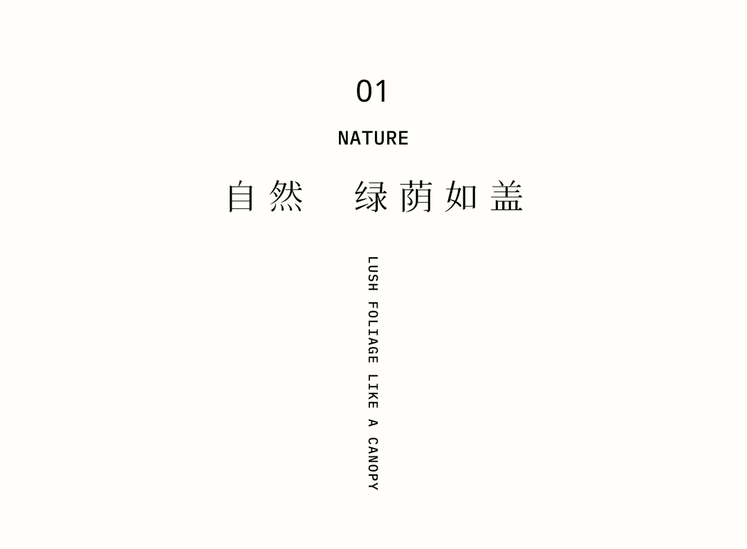 三亚山林会所丨中国三亚丨深圳派尚环境艺术设计有限公司-5