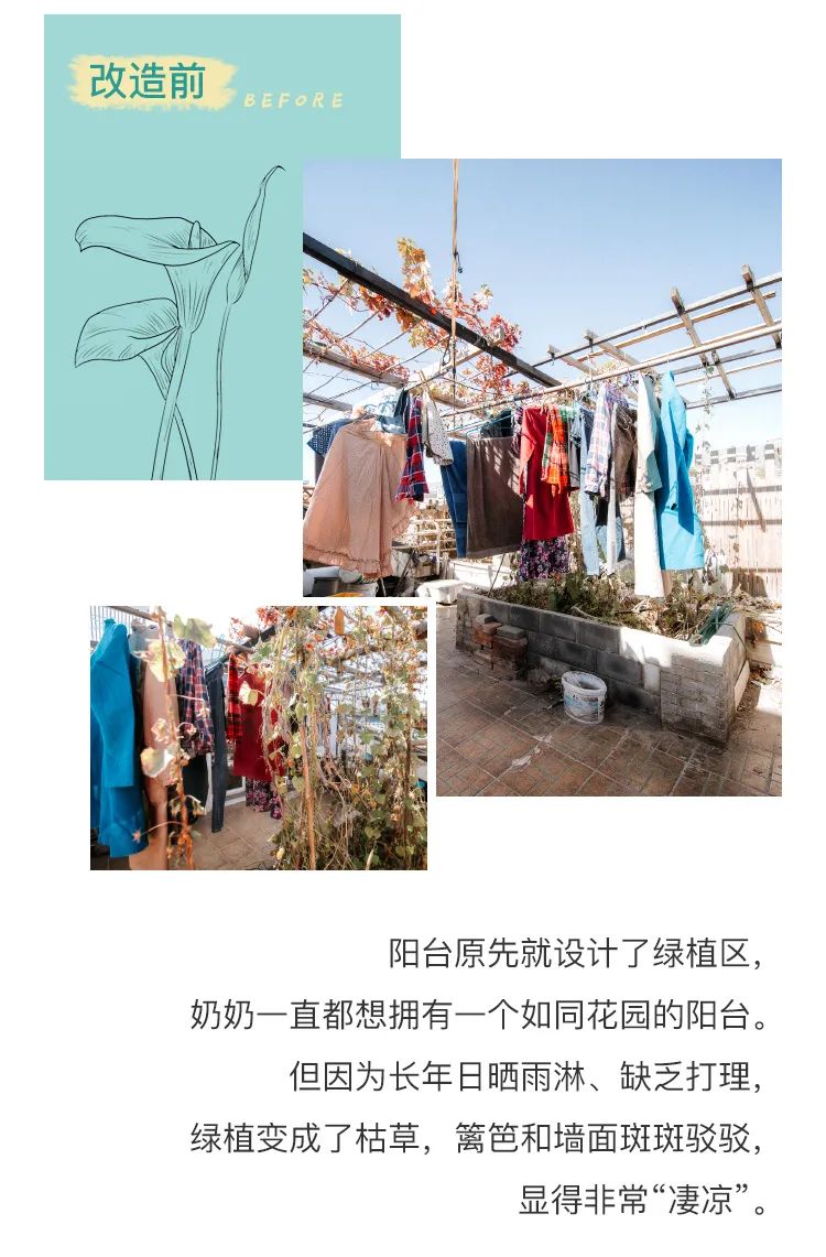 "160W 粉丝网红奶奶的露天花园改造记"-3