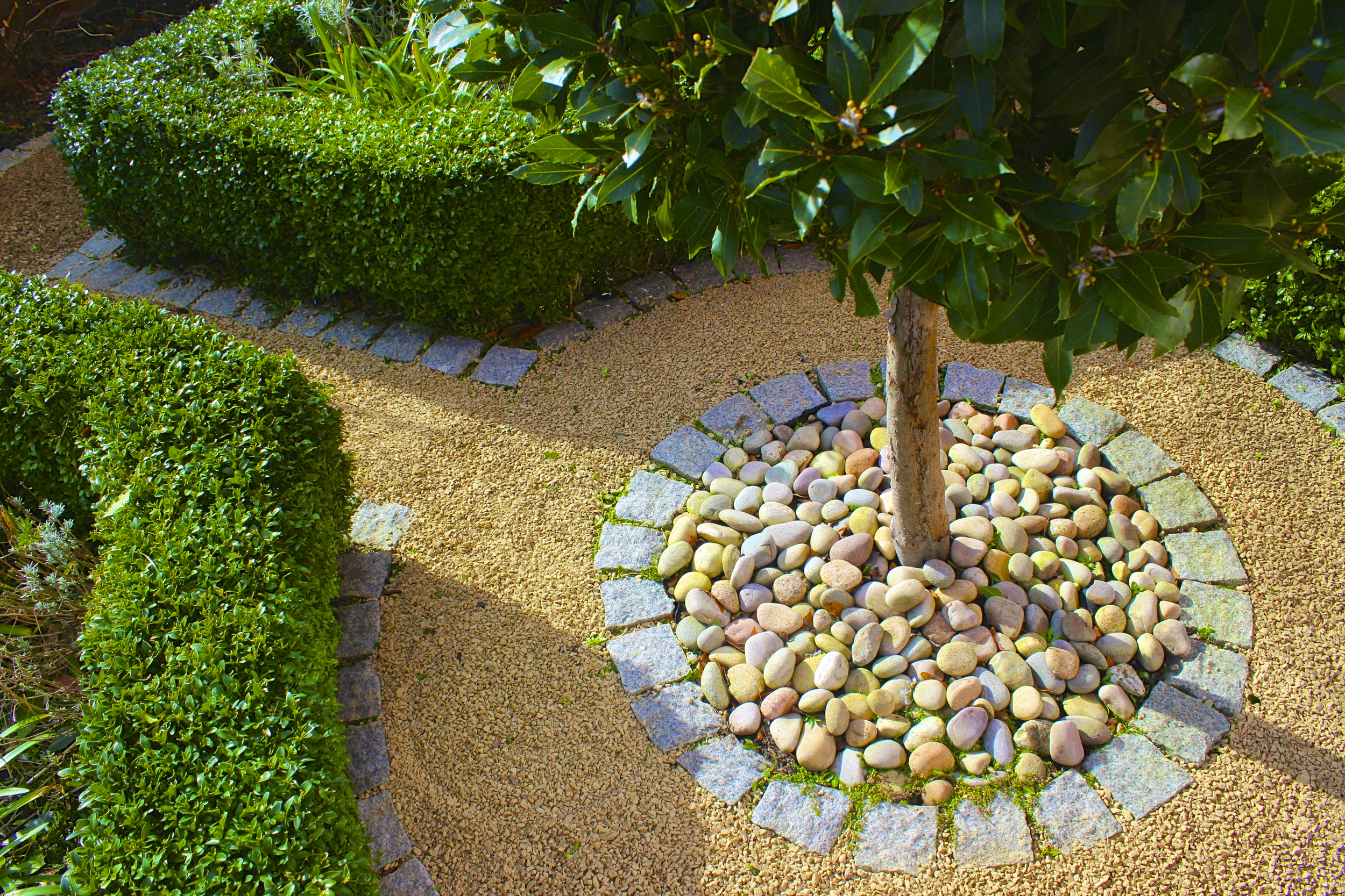 前花园花坛丨IrelandDublin-65