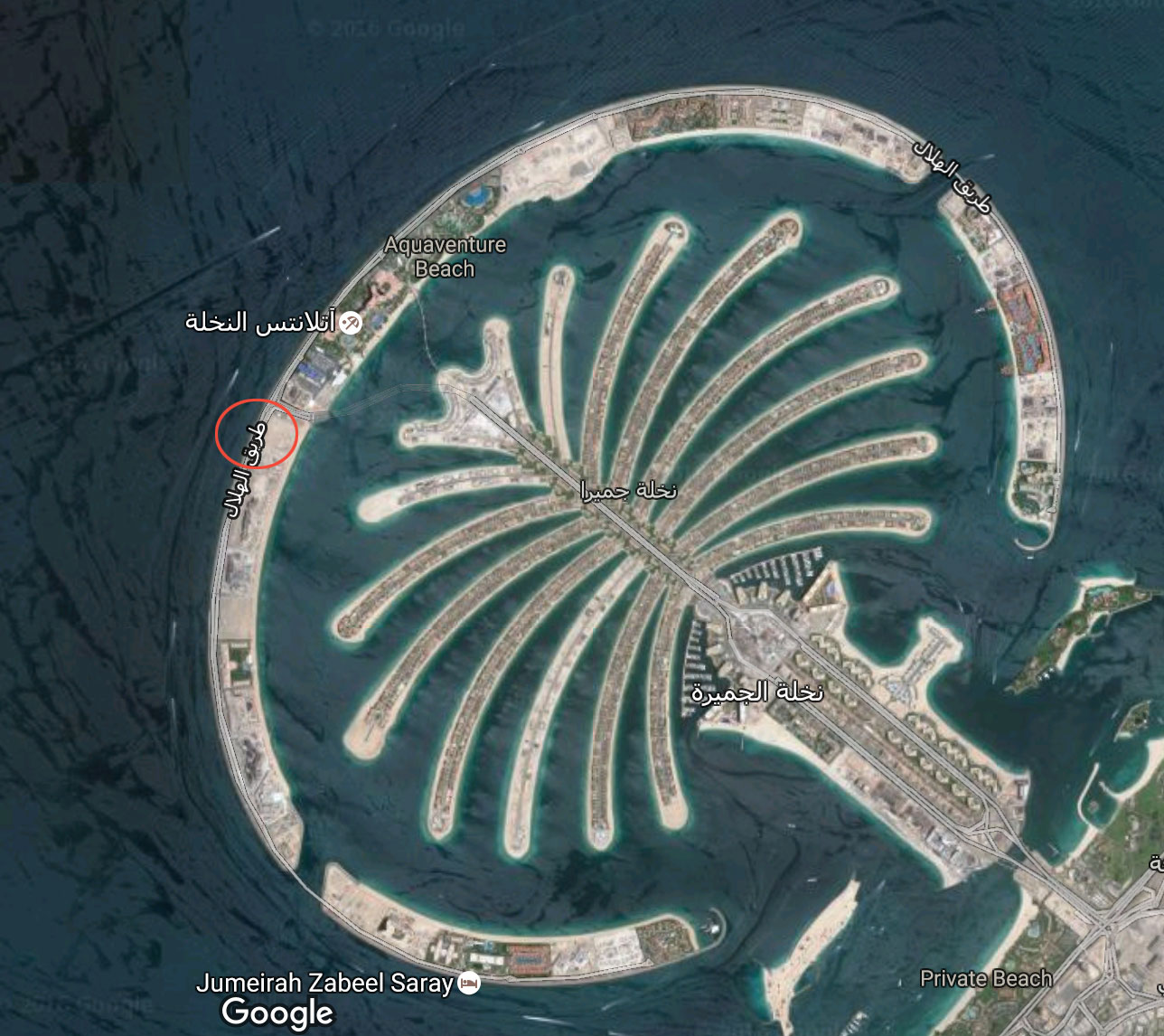 Palm Jumeirah Bridge Jungle Style- Atrium/ UAE-7