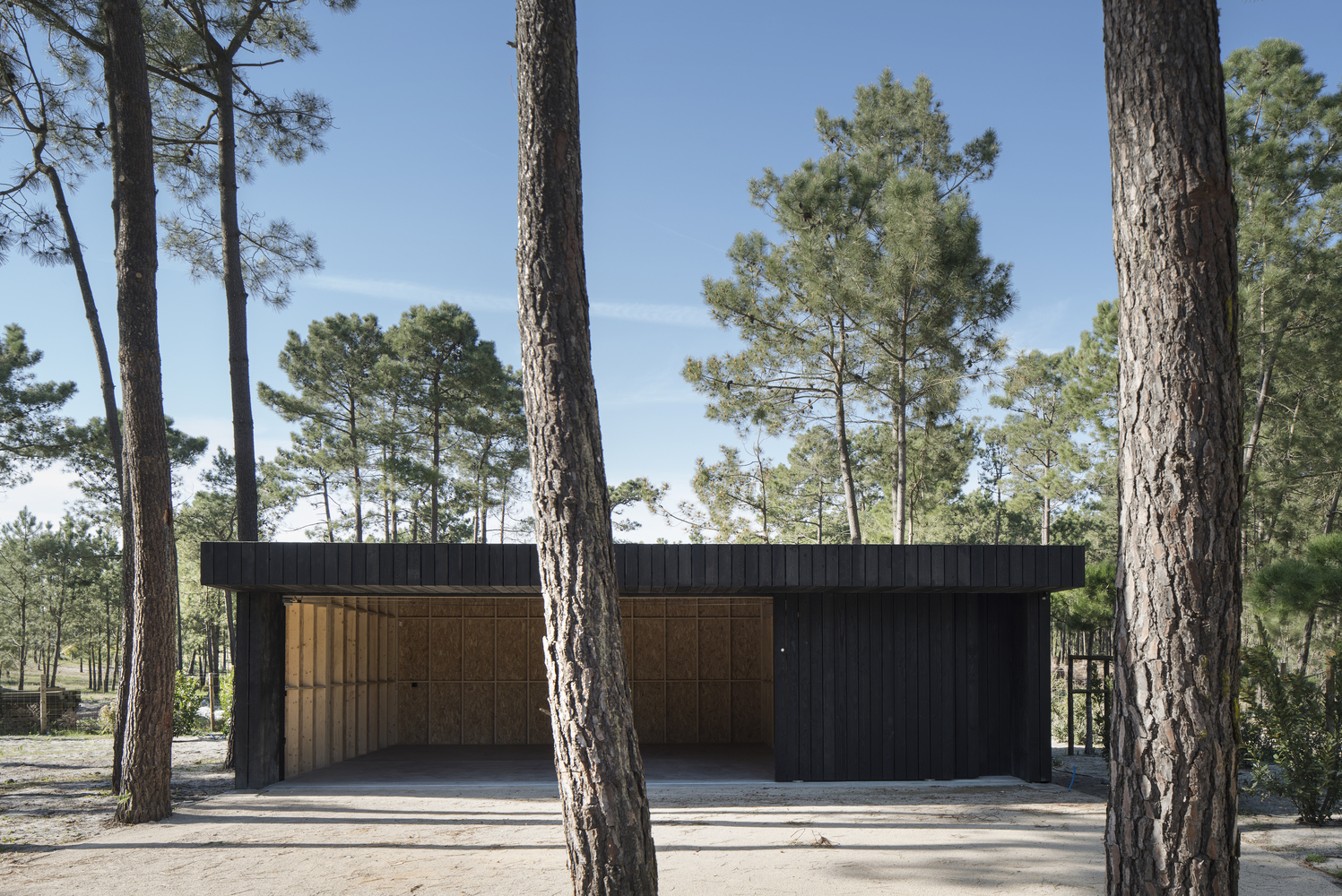 葡萄牙林中的两个黑色小屋-10