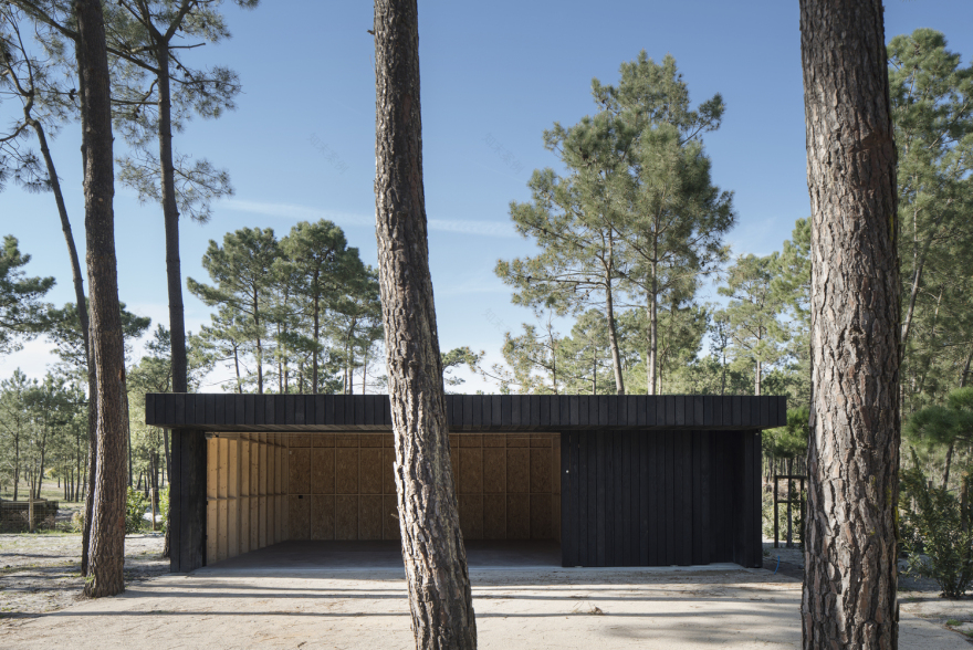 葡萄牙林中的两个黑色小屋-10