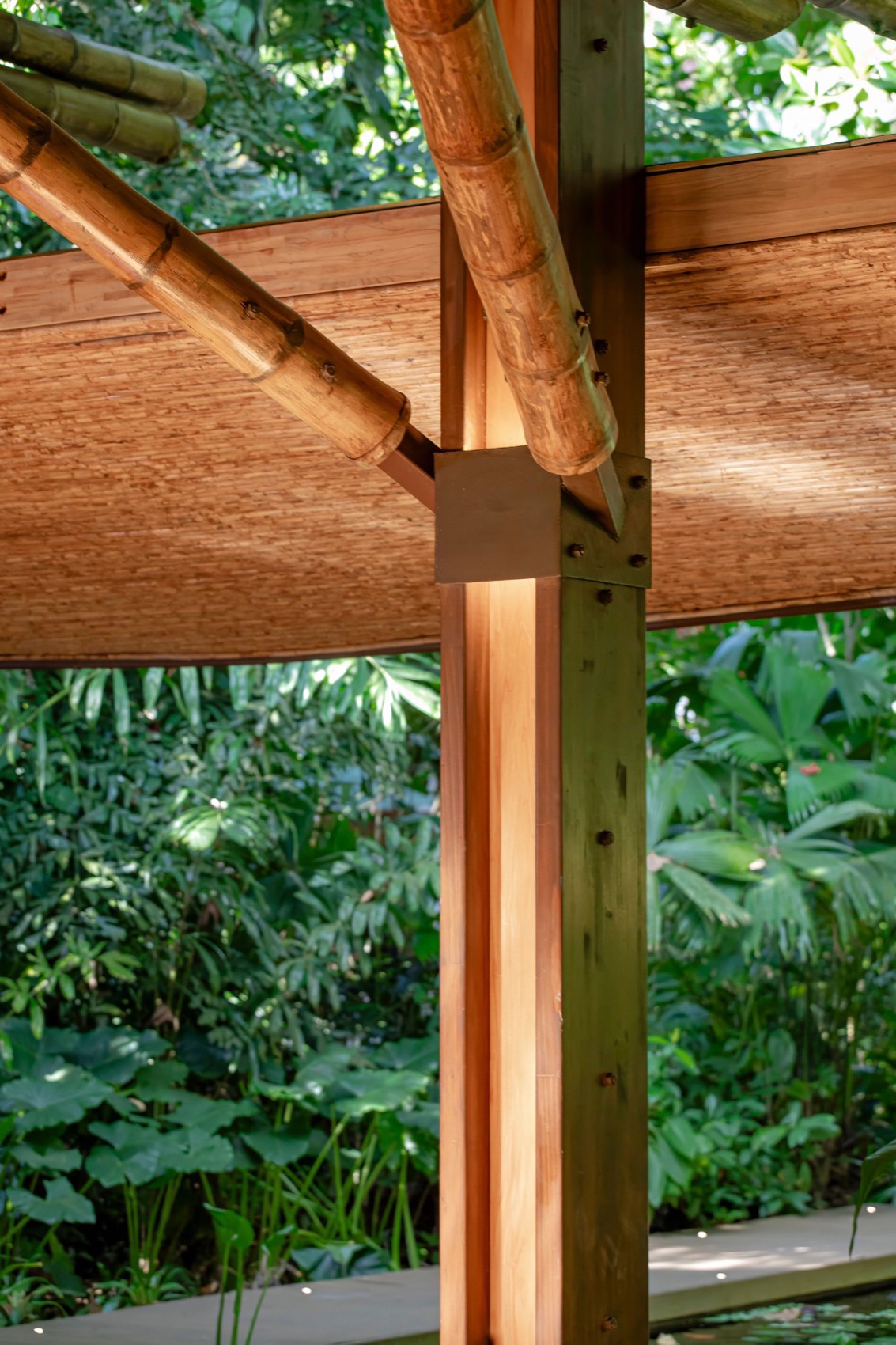 Aguas Claras酒店餐厅和瑜伽馆丨哥斯达黎加丨Studio Saxe-136