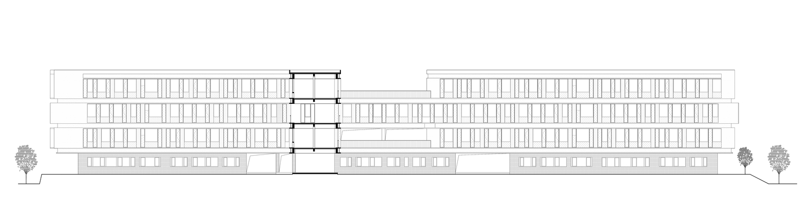 杭州古墩路小学-55