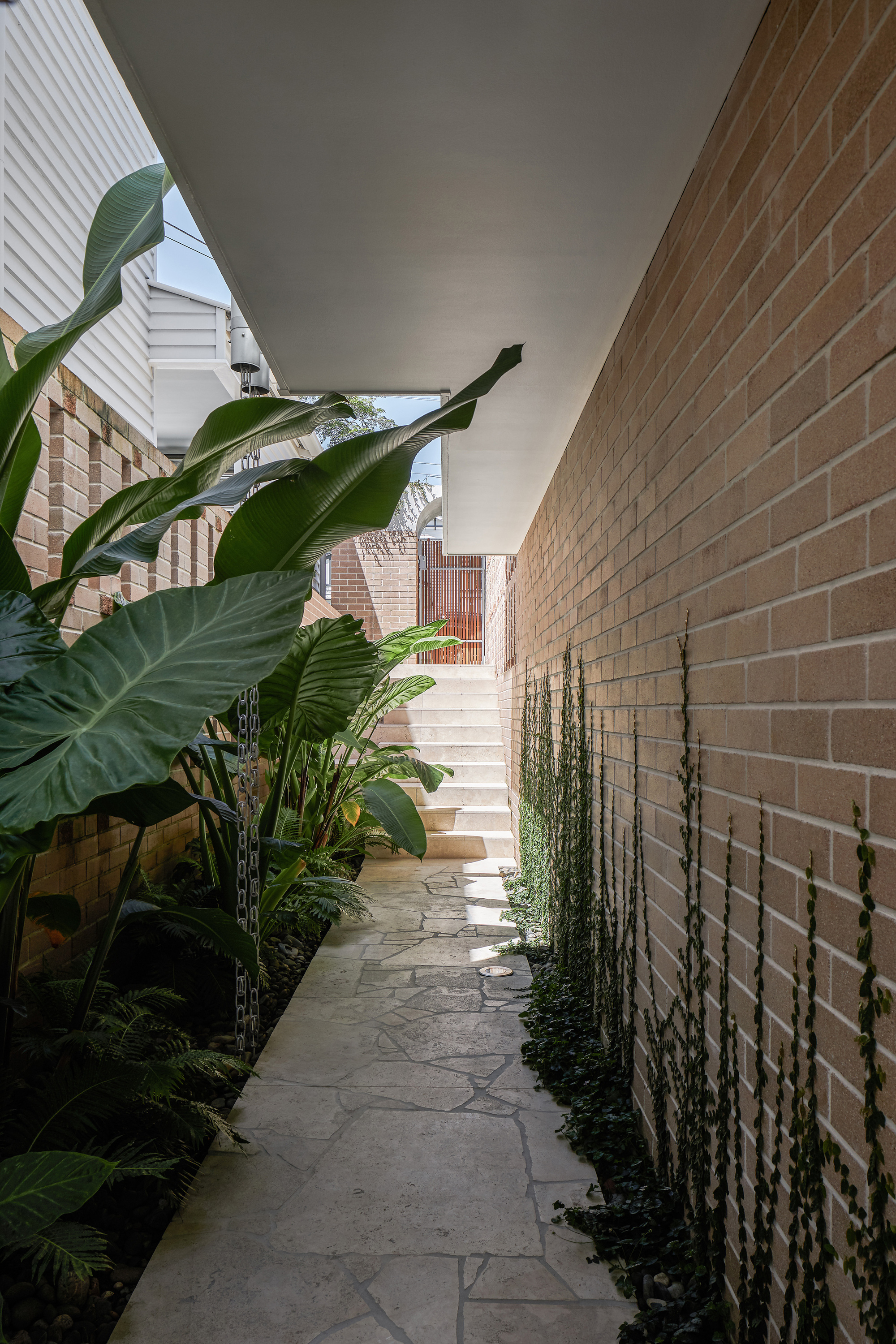 丨澳大利亚布里斯班丨Gockel Architects-34