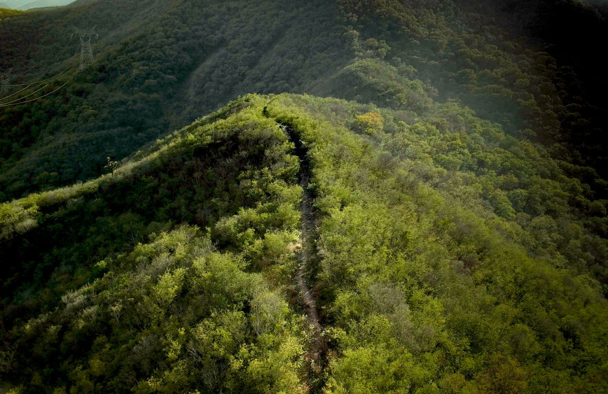 共生荒原 · 揭示人与自然和谐共生的景观建构-3