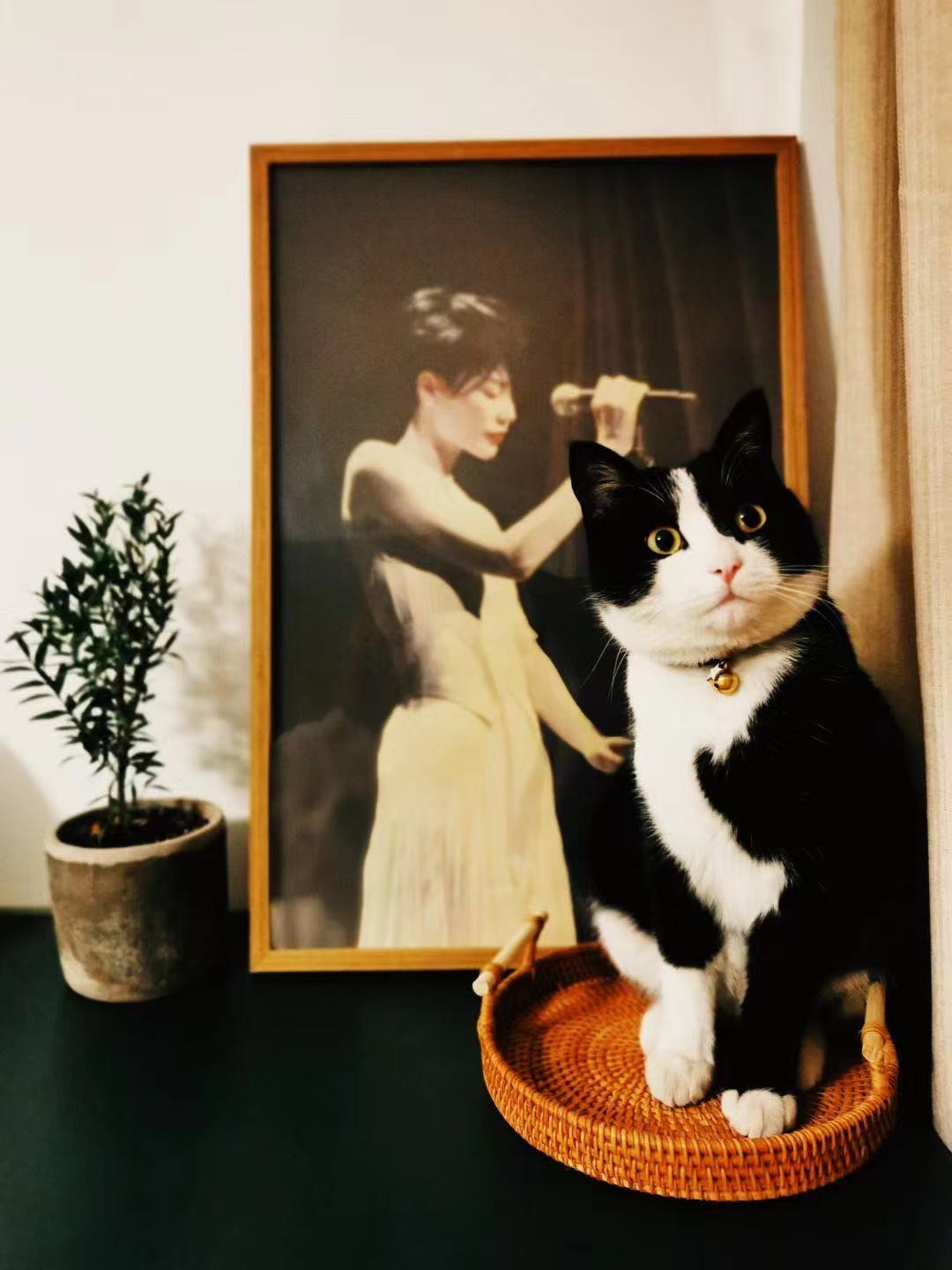 金山花园私宅丨居之设计-15