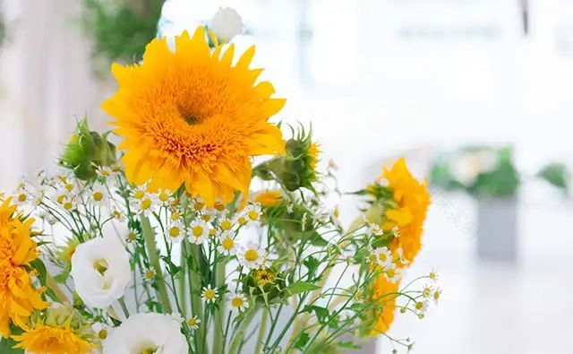 暖春装修季,桔装无忧全屋整装送 50000!-68