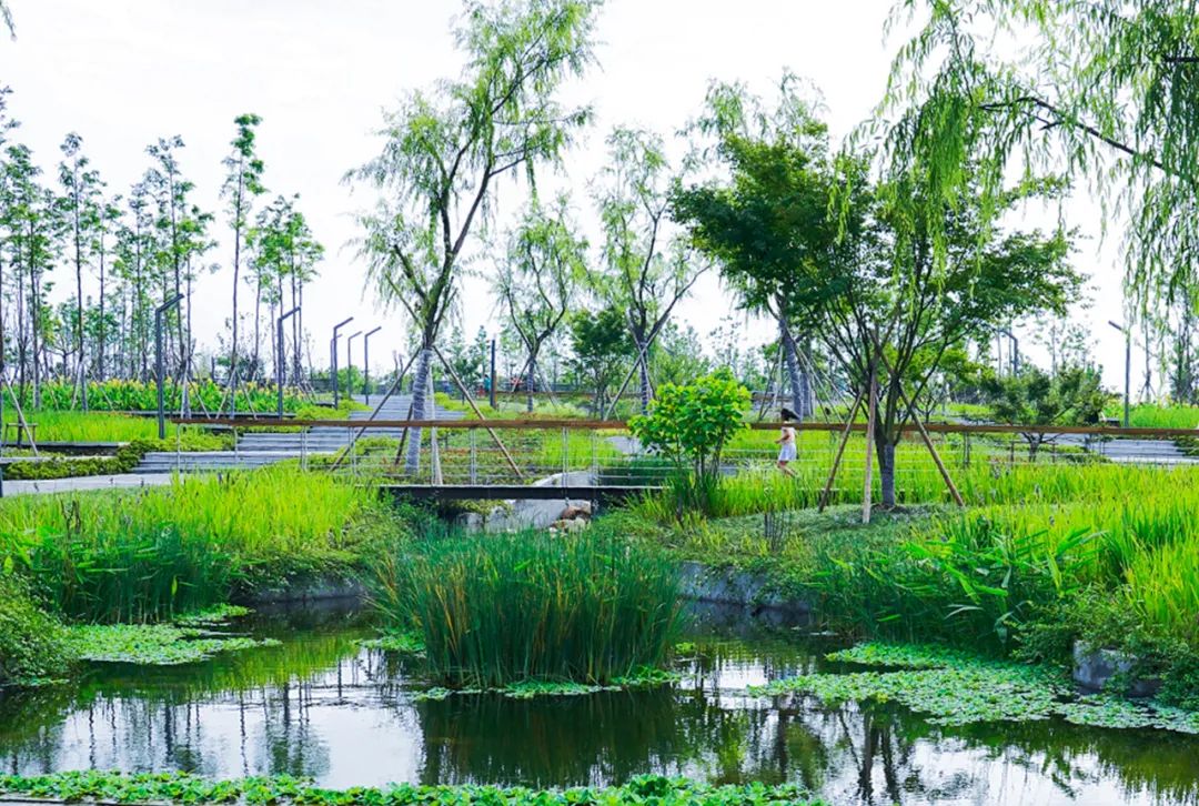 钱塘生态公园 | 海绵城市理念的绿色景观-10
