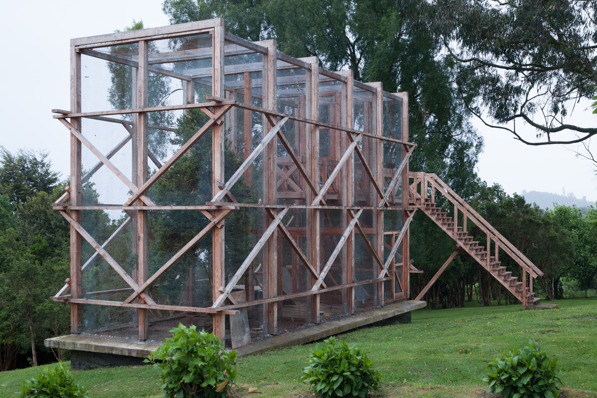 阿维亚里和稳定公园埃尔恩坎托丨智利丨DRAA-24