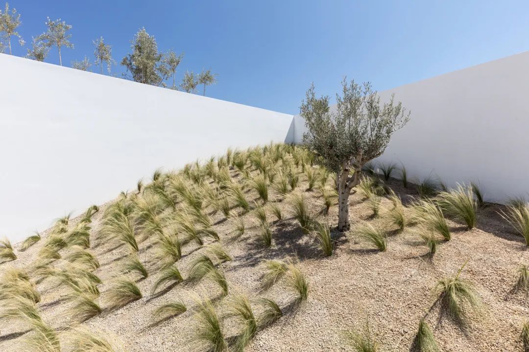 Santorini 纯白洞穴式观景别墅丨希腊丨Kapsimalis Architects-19