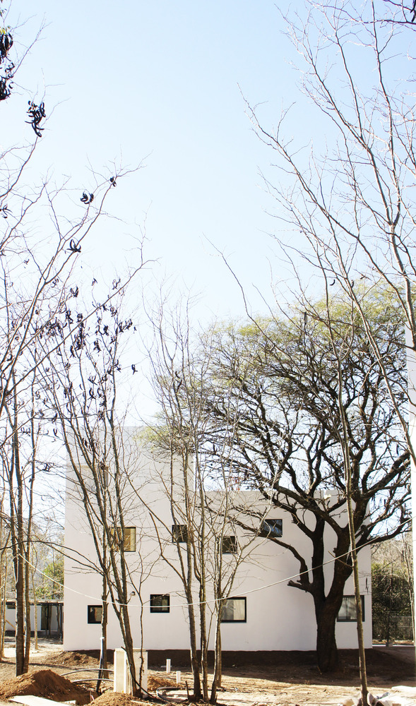 阿根廷相思树森林中的简约住宅群-40