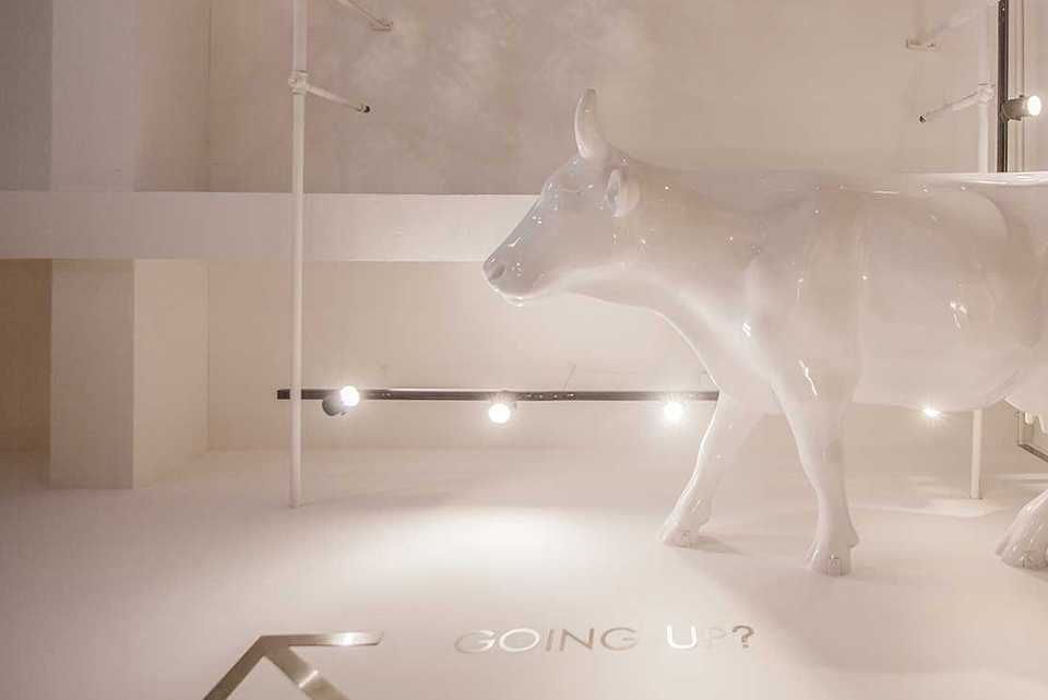 TOWO堂晤设计工作室,上海 / 堂晤设计-9