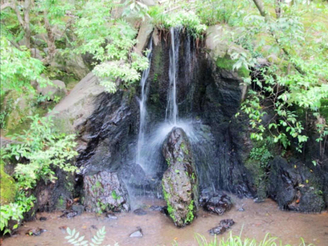 别墅花园水景设计-48