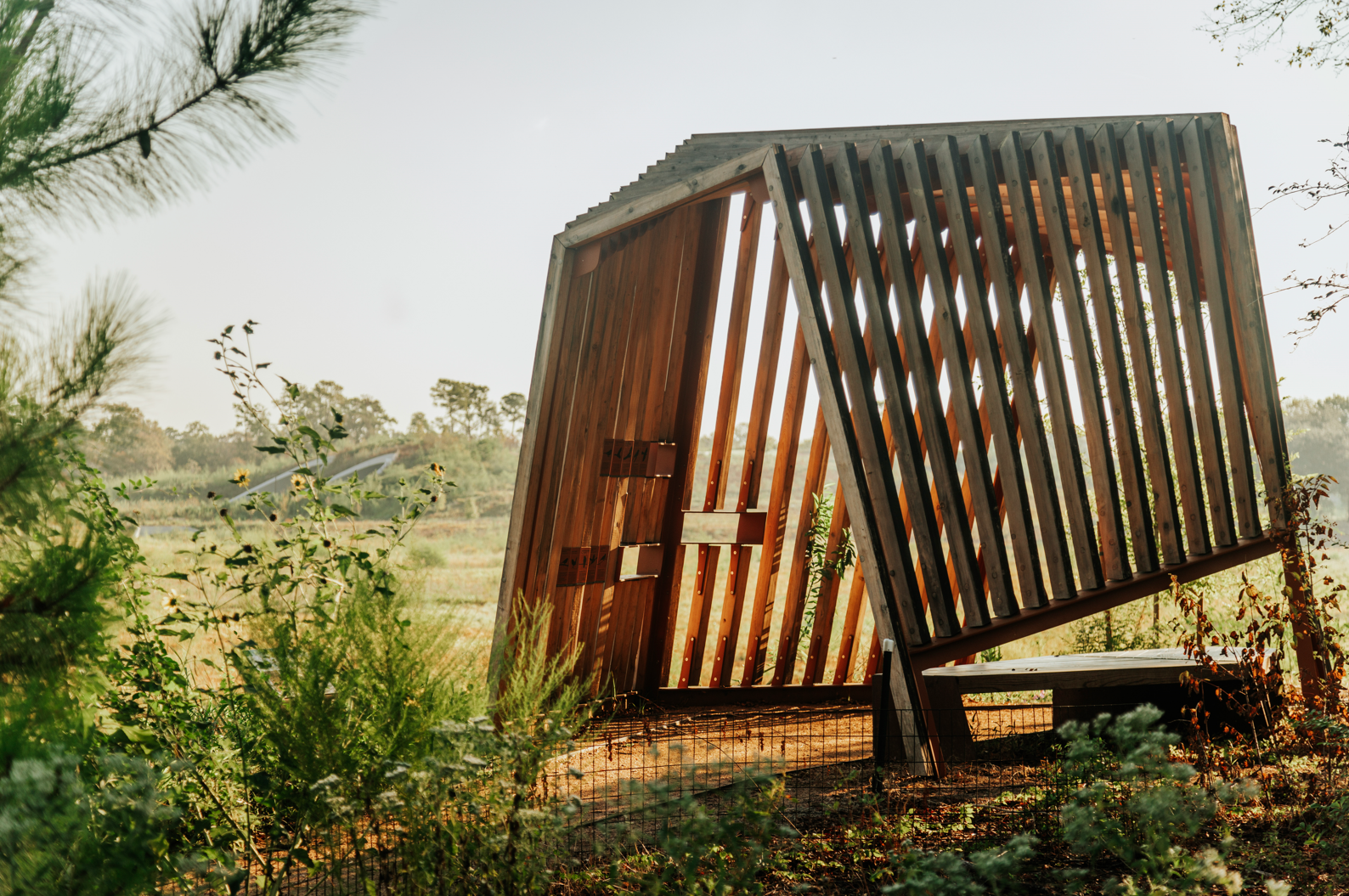 Kinder Land Bridge and Cyvia and Melvyn Wolff Prairie at Memorial Park | Nelson Byrd Woltz Landscape Architects-14