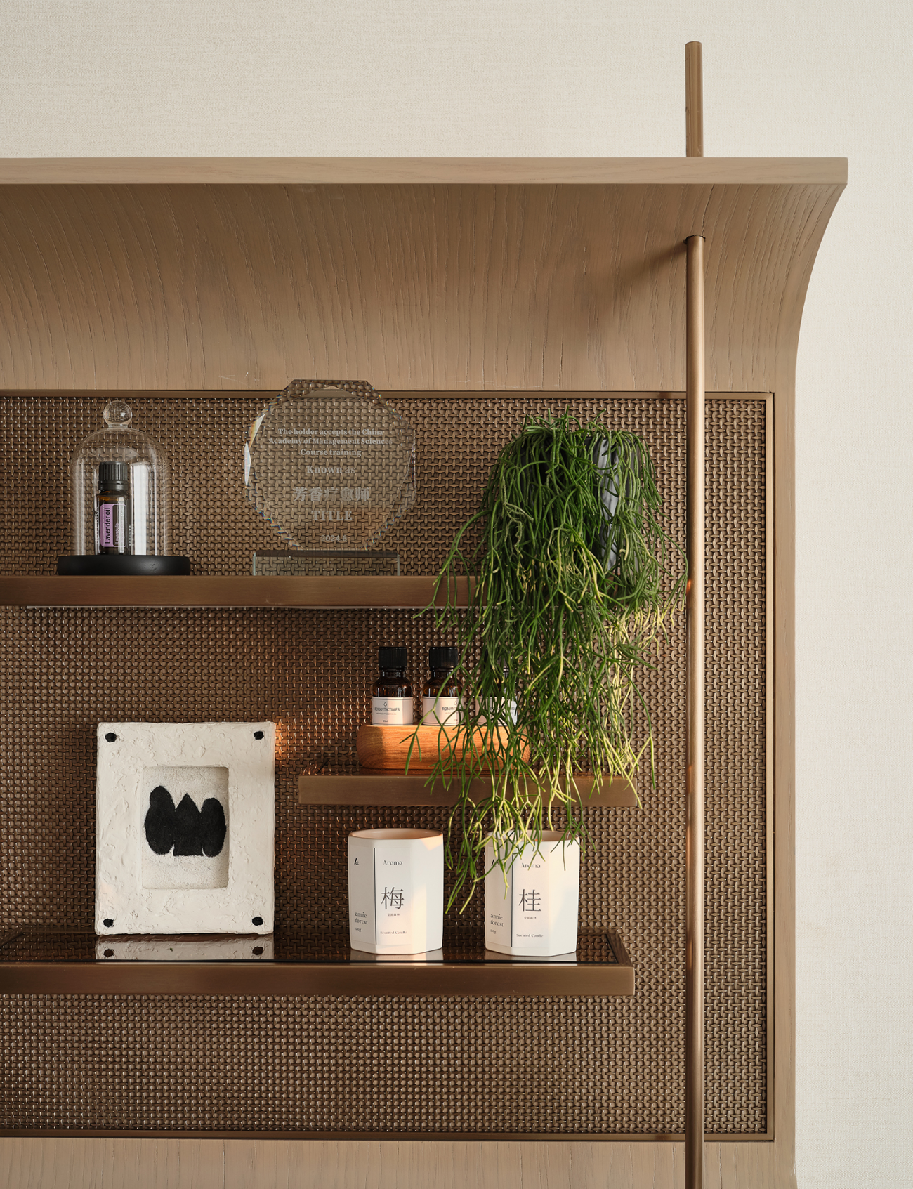 佛山万科世纪灯湖瑧府样板间丨中国佛山丨IF DSIGN 羽果设计-37