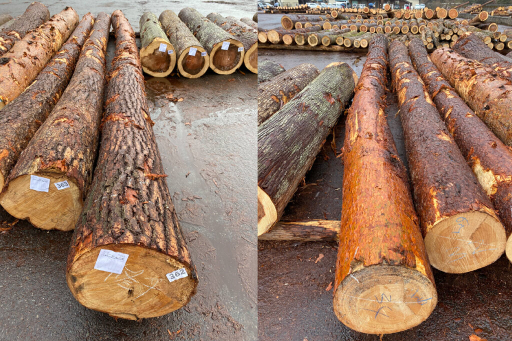 風の森の土壁４ 建筑士市场买木材用于设计项目丨水野设计室-19