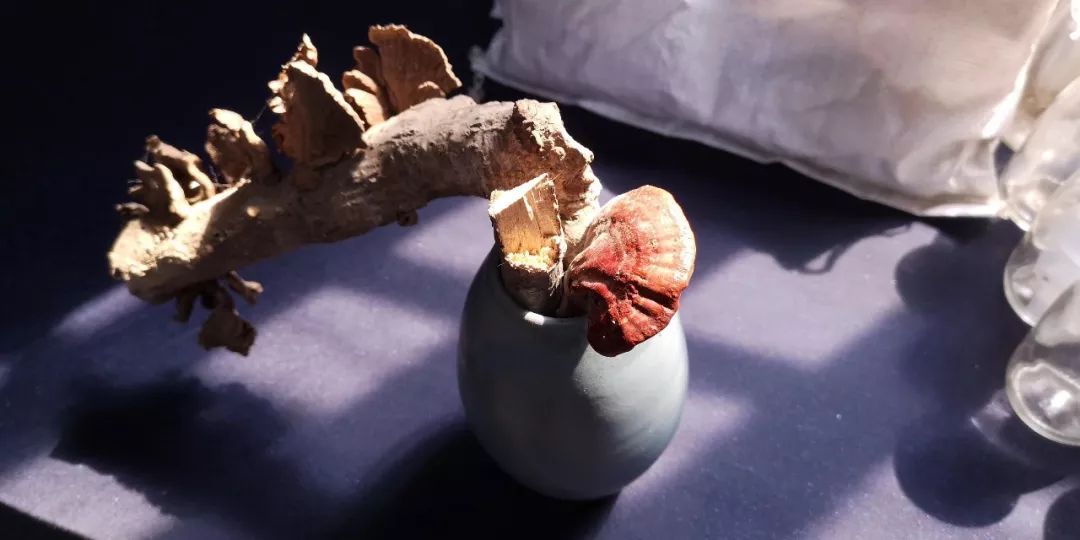 终南山书院 | 回归自然的诗意栖居-118