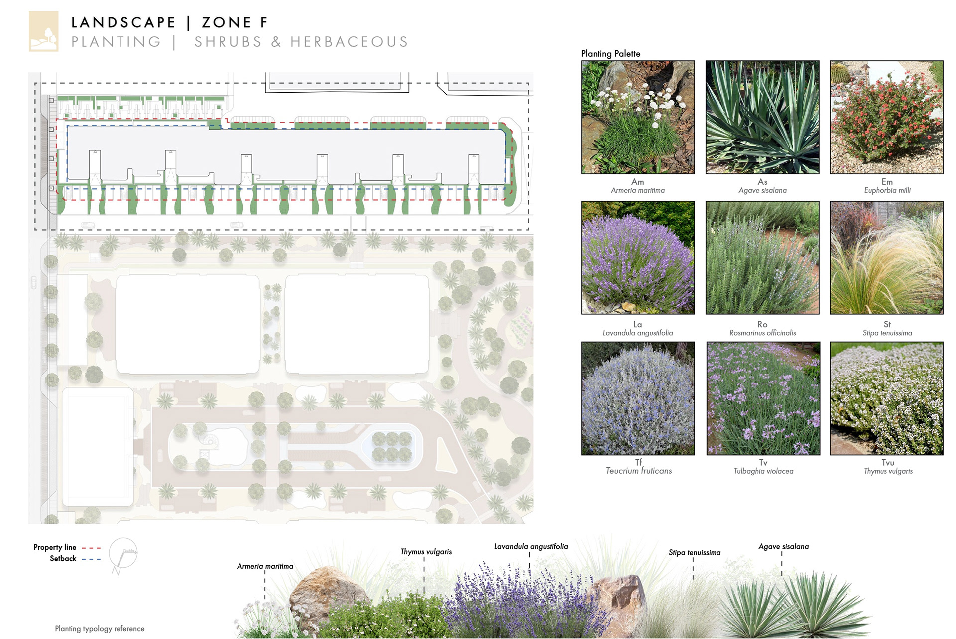沙特利雅得住宅综合体及清真寺景观设计项目丨沙特阿拉伯利雅得丨ATA Office-12