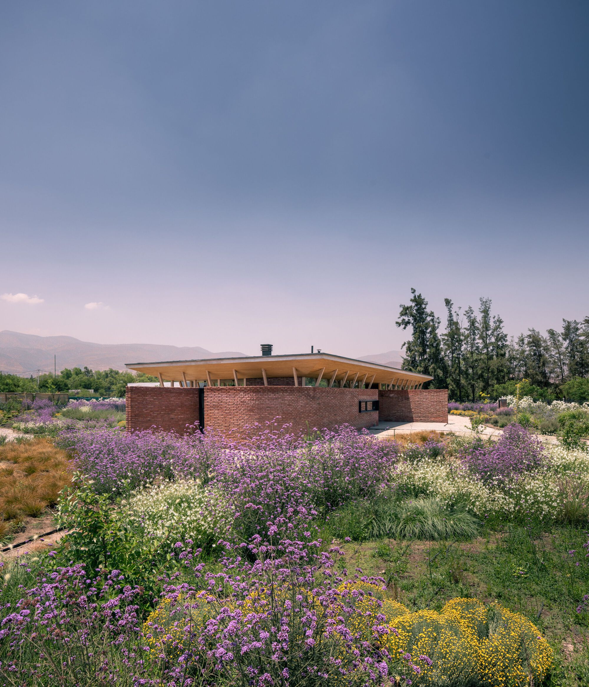 弧形墙屋丨智利-31