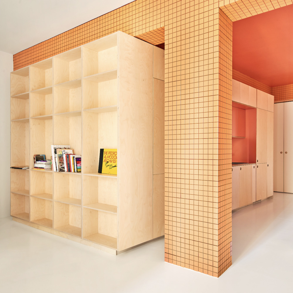 马德里 Lavapiés 社区三合一公寓改造丨西班牙马德里-6