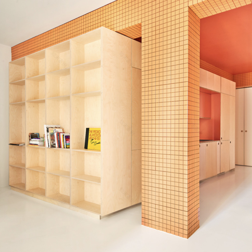 马德里 Lavapiés 社区三合一公寓改造丨西班牙马德里-6