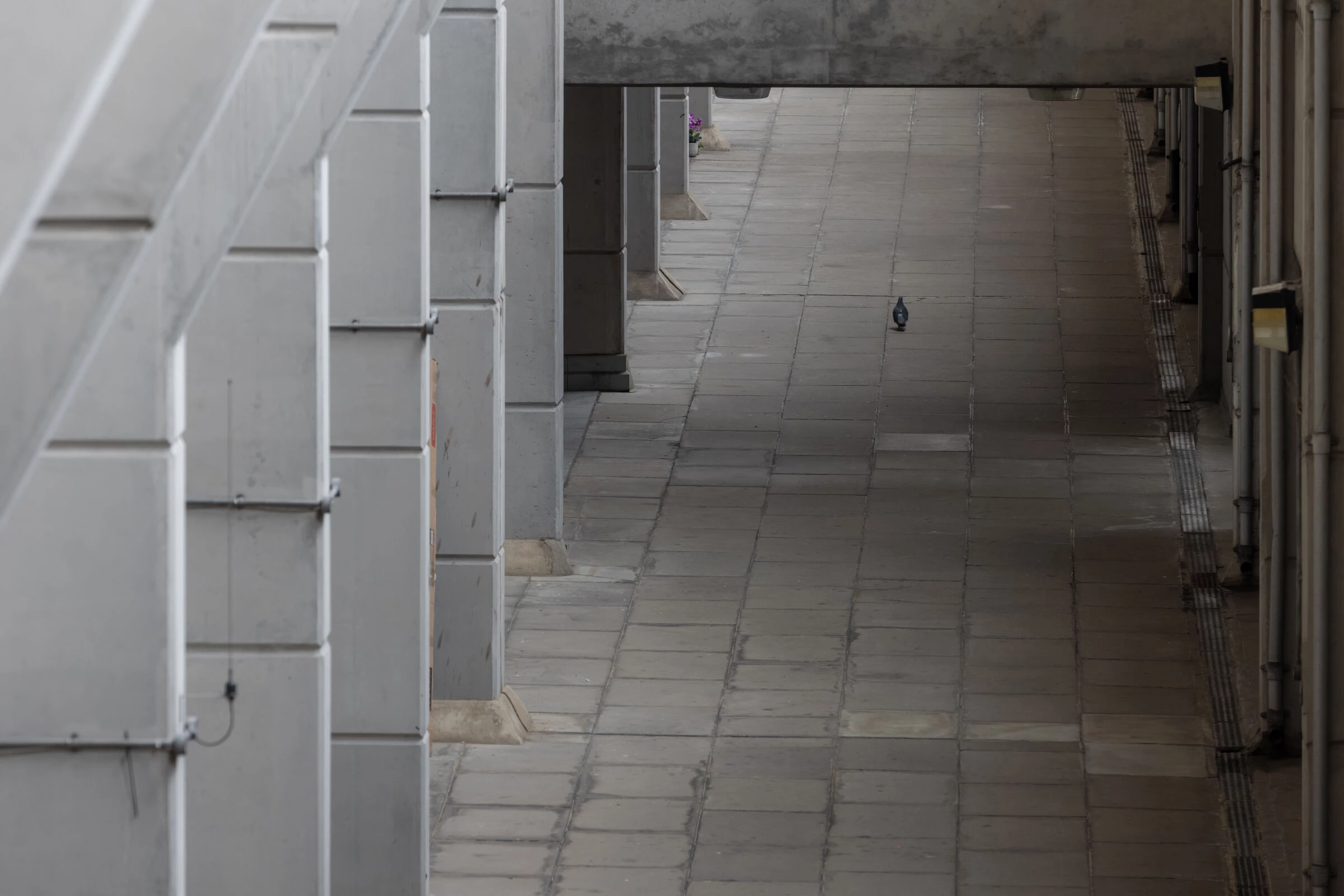 伦敦的布伦斯威克中心丨Patrick Hodgkinson-32