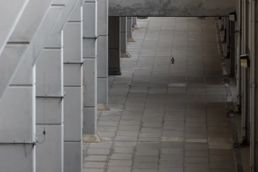 伦敦的布伦斯威克中心丨Patrick Hodgkinson-32