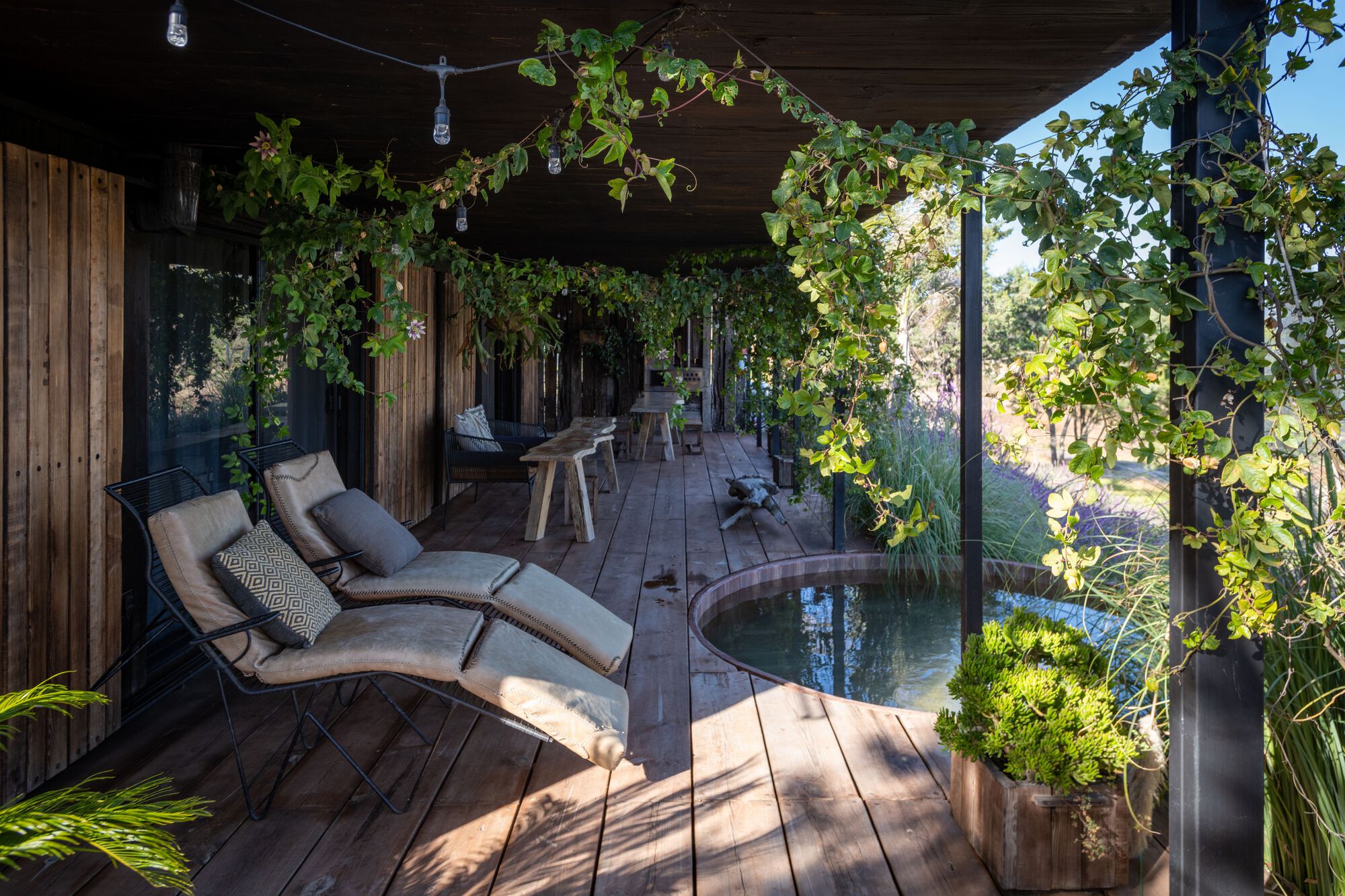 中村屋丨墨西哥丨Fausto Terán,Toro-19