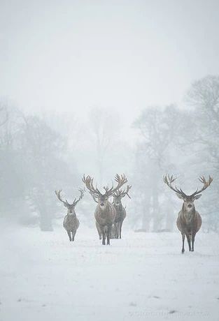 利和金汇餐厅-47