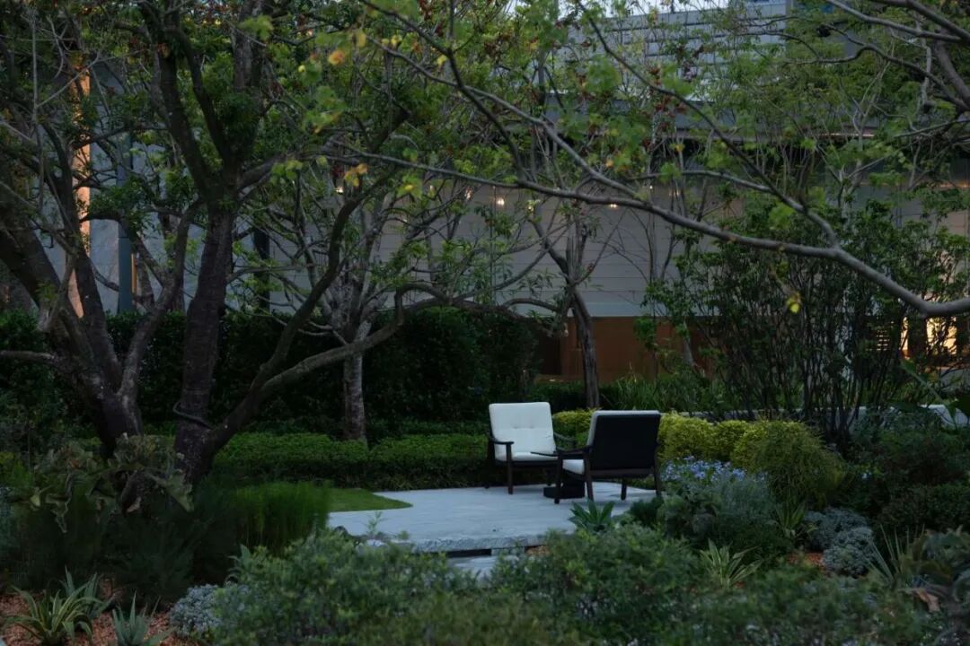 龙岗大运项目全期展示区园建及绿化工程丨中国深圳丨A&N尚源集序  Collection Studio-35