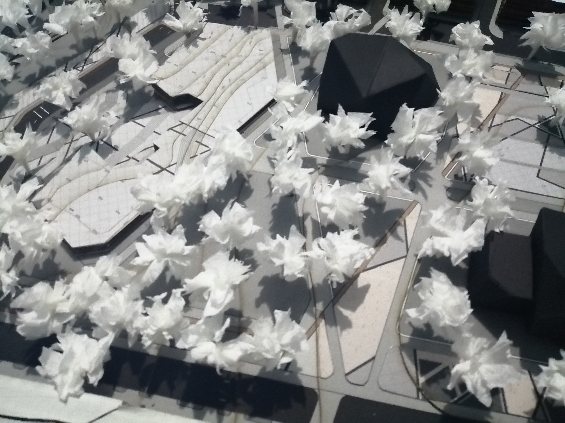 托利马多元文化公园丨ColombiaTolima-19